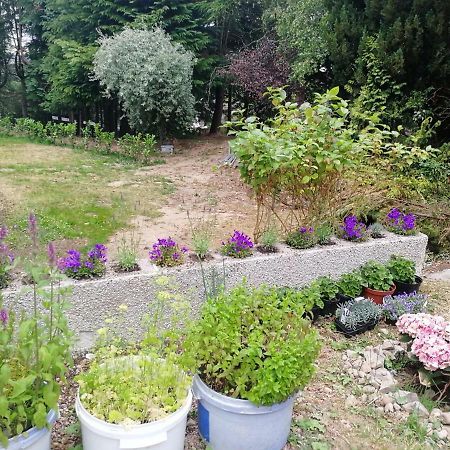 Robinhill Garden Hotell Forres Exteriör bild